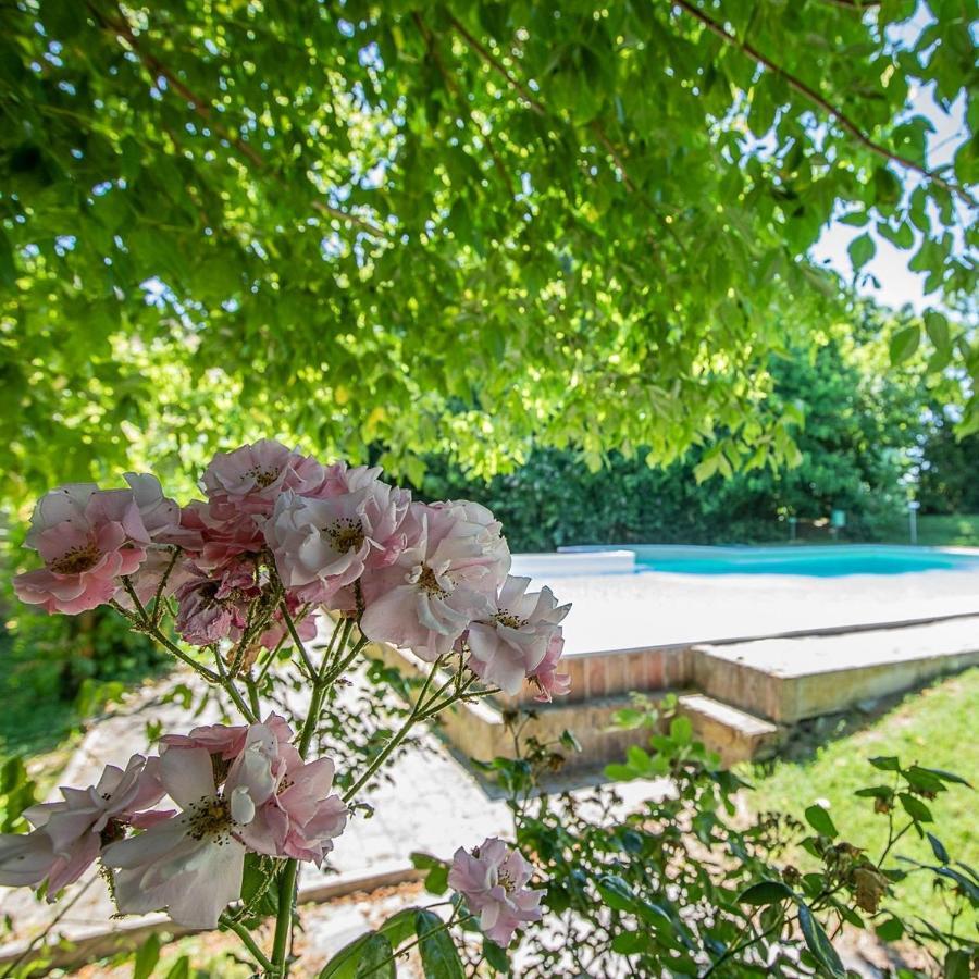 Borgo Del Nibbio Apartment Porto Levante Bagian luar foto