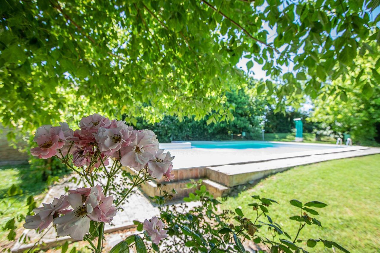Borgo Del Nibbio Apartment Porto Levante Bagian luar foto